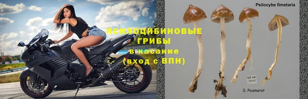 не бодяженный Белокуриха