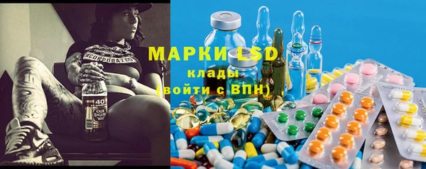 дмт Богородицк